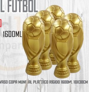 Copa de Futbol